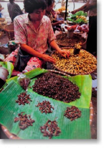 vendedora_formigas_tailandia