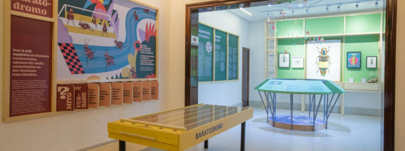 16_Baratódromo e Sala Importância para vida e exposições temporárias